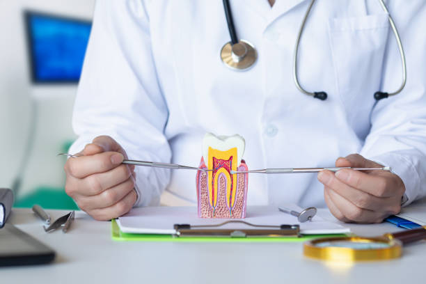 Best 24-Hour Emergency Dentist in Mcrae Helena, GA